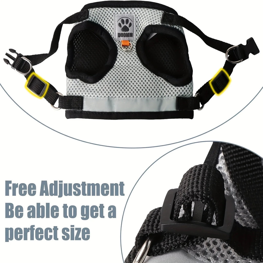 PET COLLARS, HARNESS & ACCESSORIES