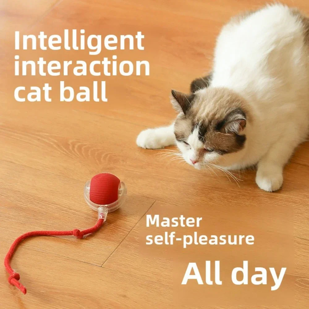 SMART RECHARGEABLE INTERACTIVE BALL ROLLING TOY FOR CATS AND DOGS