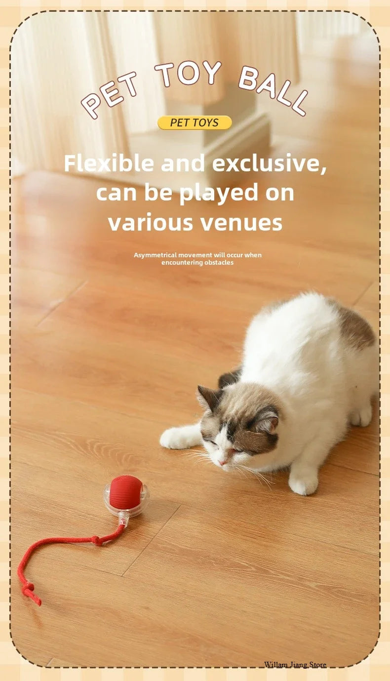 SMART RECHARGEABLE INTERACTIVE ROLLING BALL TOY FOR CATS AND DOGS