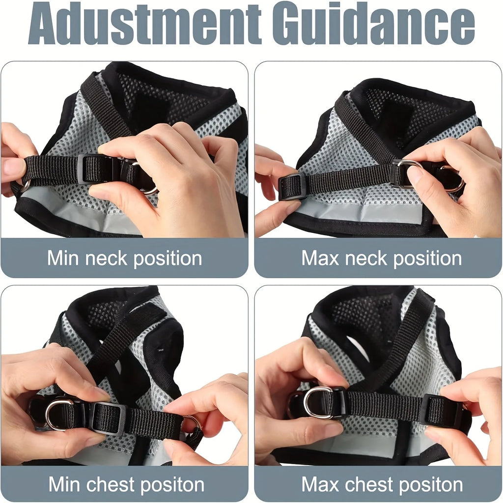 PET COLLARS, HARNESS & ACCESSORIES