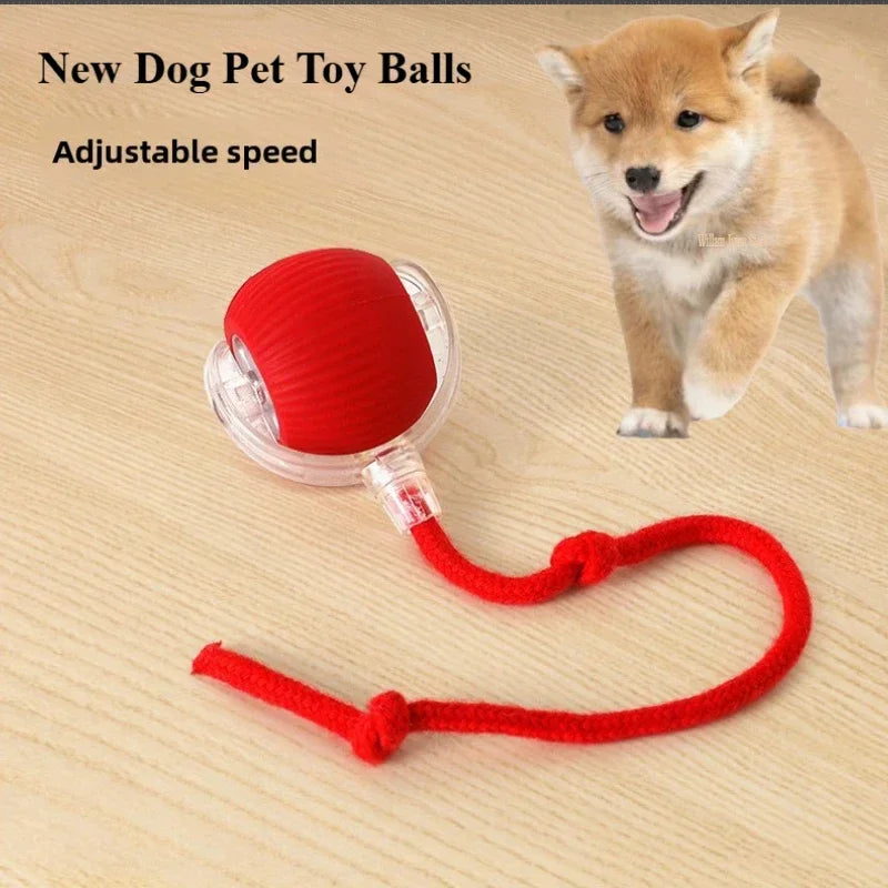 SMART RECHARGEABLE INTERACTIVE ROLLING BALL TOY FOR CATS AND DOGS