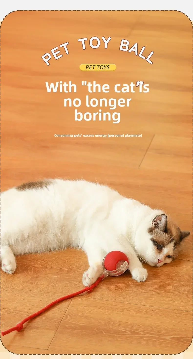 SMART RECHARGEABLE INTERACTIVE ROLLING BALL TOY FOR CATS AND DOGS