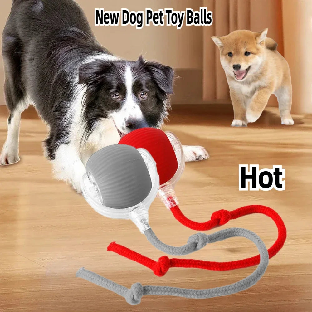 SMART RECHARGEABLE INTERACTIVE BALL ROLLING TOY FOR CATS AND DOGS
